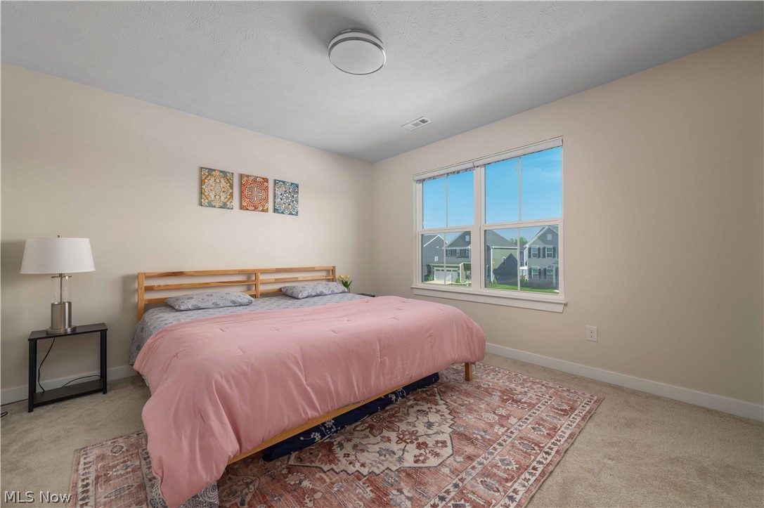 23427 Daisey Drive Columbia Station OH 44028
