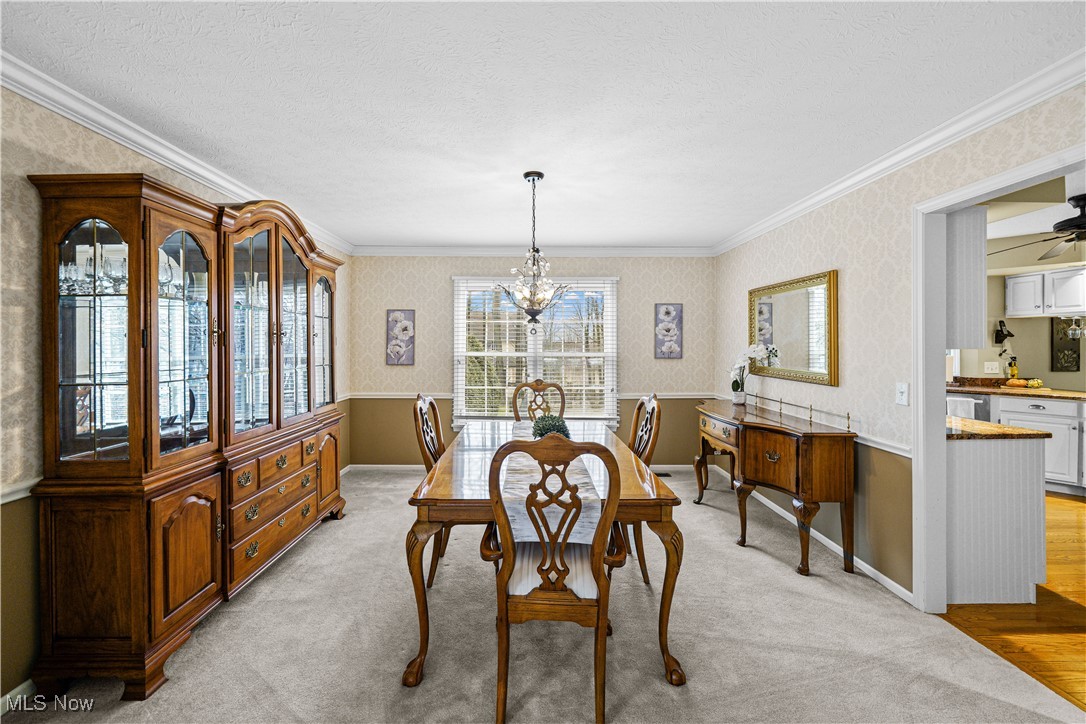 230 Birchbark Trail Aurora OH 44202