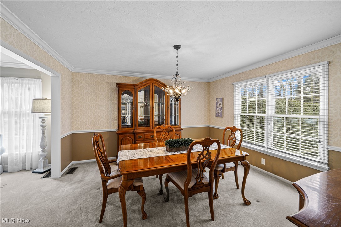 230 Birchbark Trail Aurora OH 44202