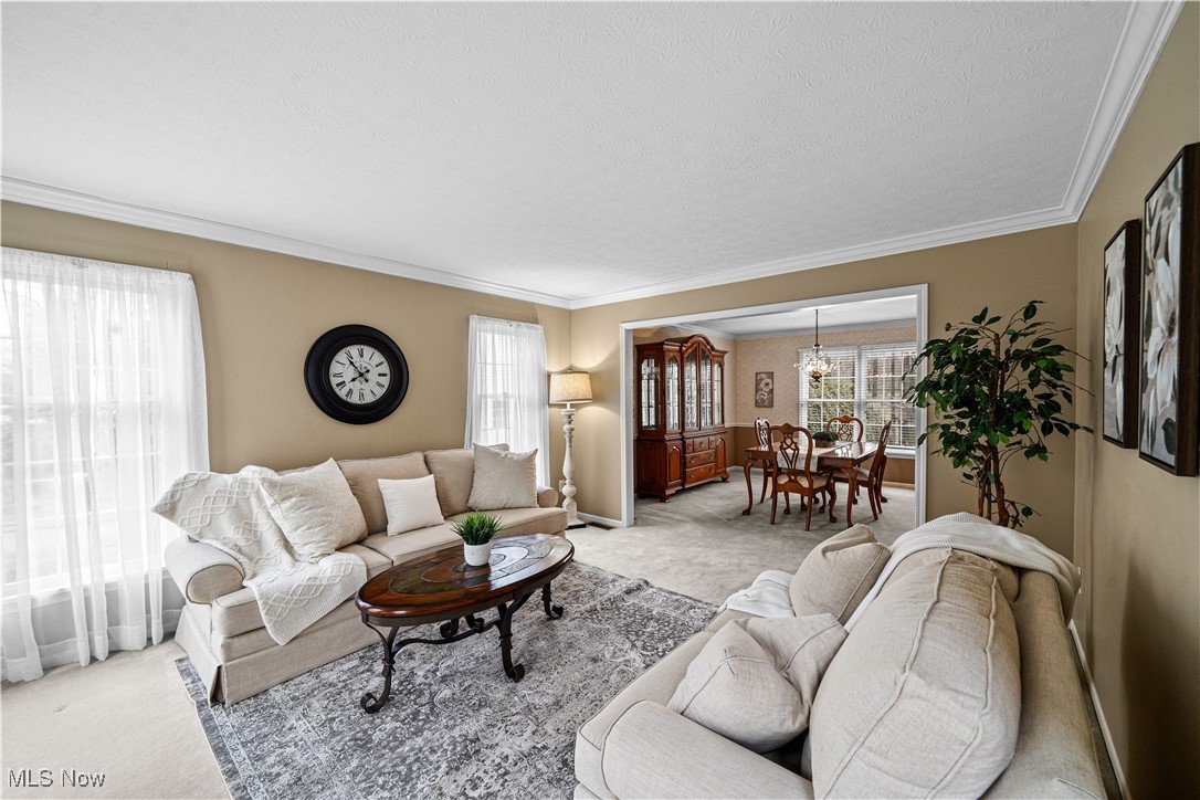 230 Birchbark Trail Aurora OH 44202