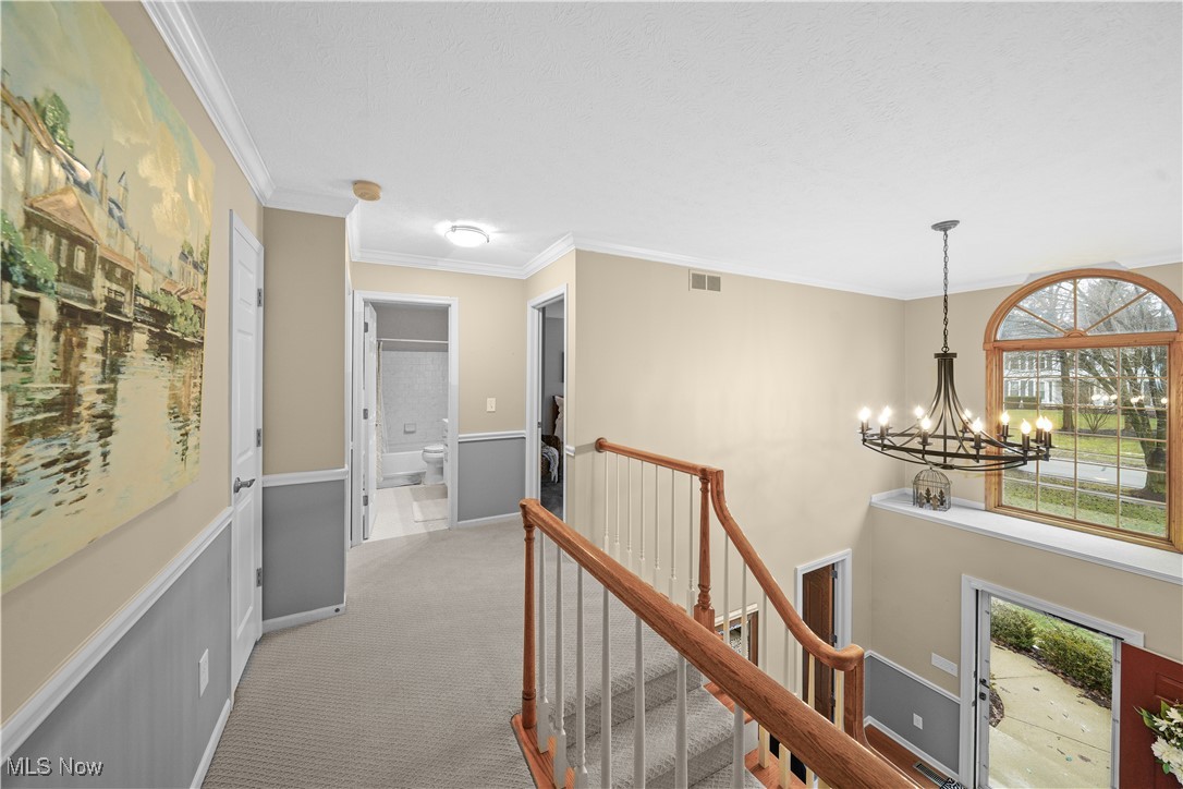 230 Birchbark Trail Aurora OH 44202