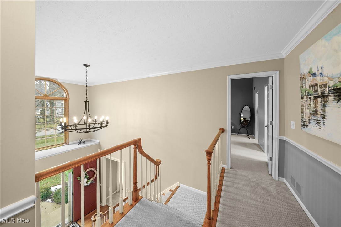 230 Birchbark Trail Aurora OH 44202