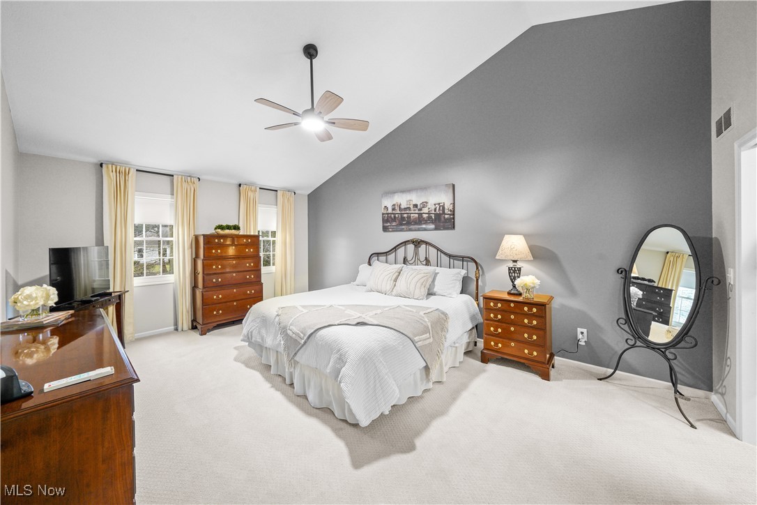 230 Birchbark Trail Aurora OH 44202