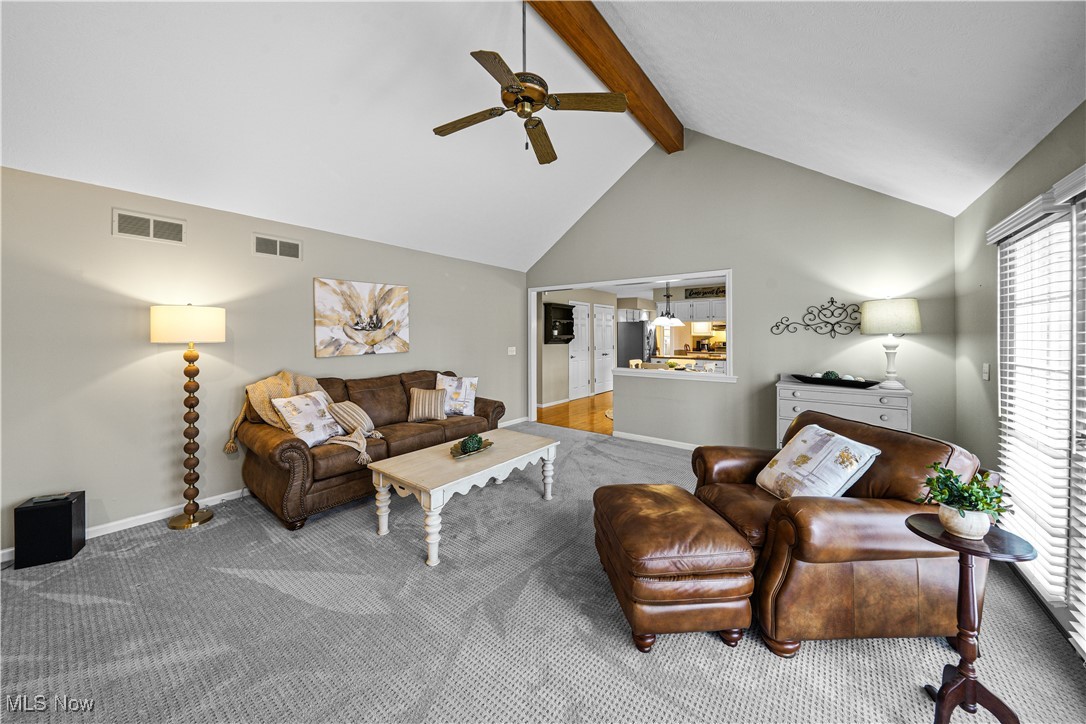 230 Birchbark Trail Aurora OH 44202