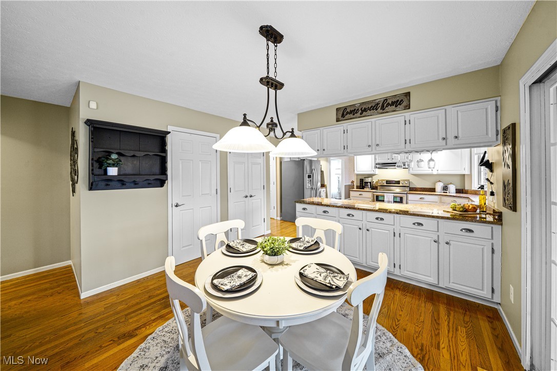 230 Birchbark Trail Aurora OH 44202