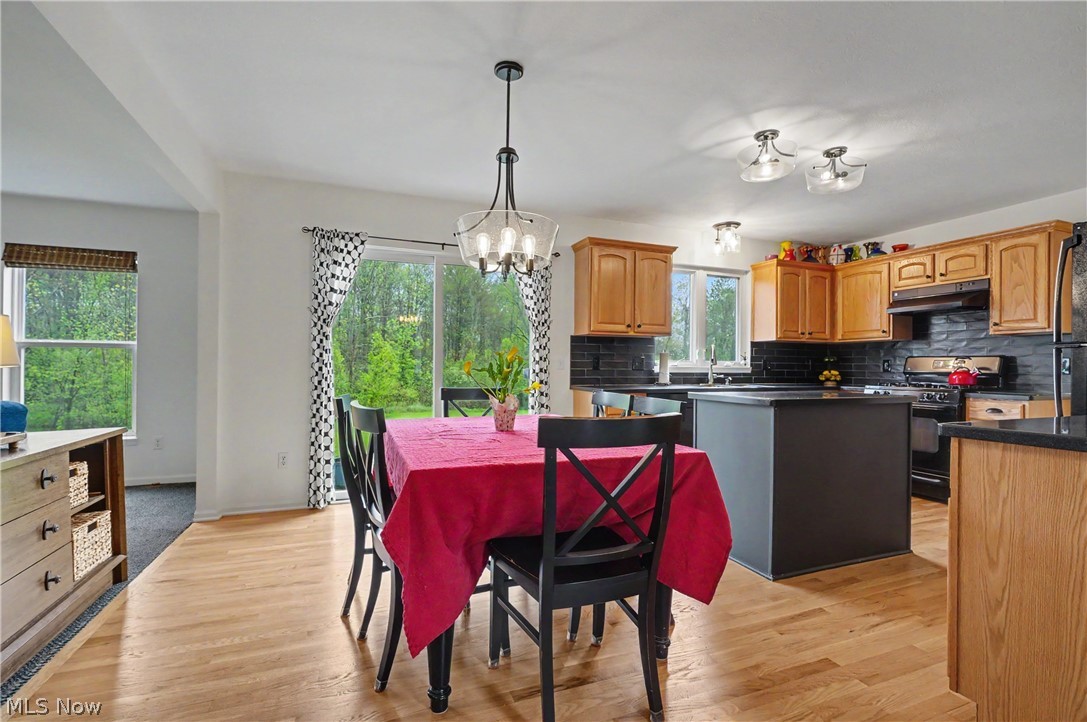 5102 Bringham Drive Brunswick OH 44212