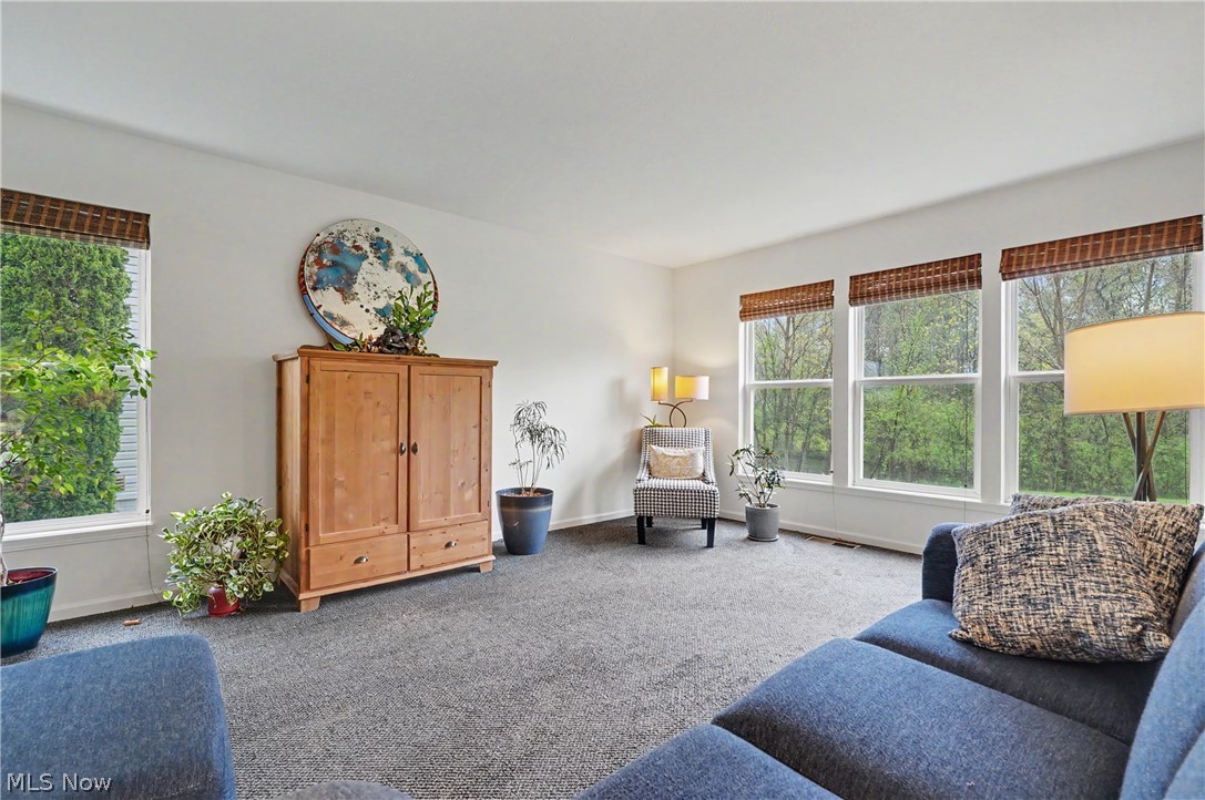 5102 Bringham Drive Brunswick OH 44212