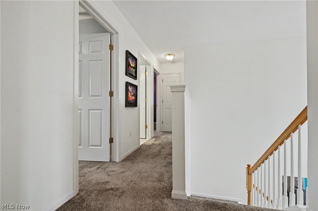 5102 Bringham Drive Brunswick OH 44212