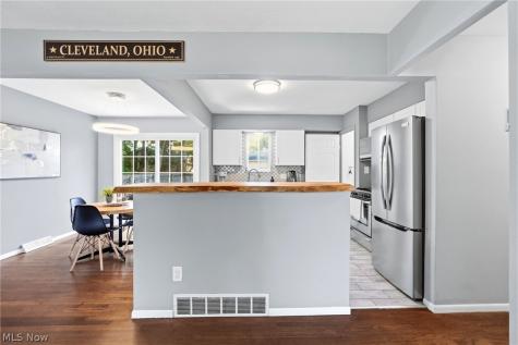 1209 Galaxy Drive Cleveland OH 44109