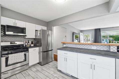 1209 Galaxy Drive Cleveland OH 44109