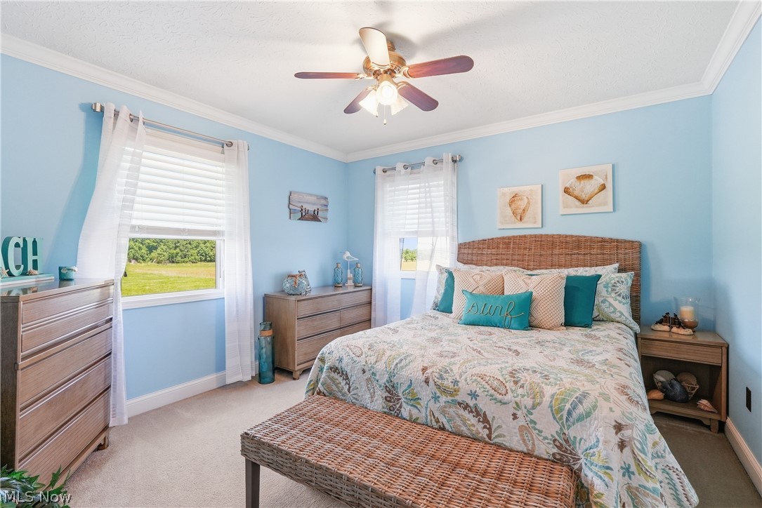 296 County Road 620 West Salem OH 44287