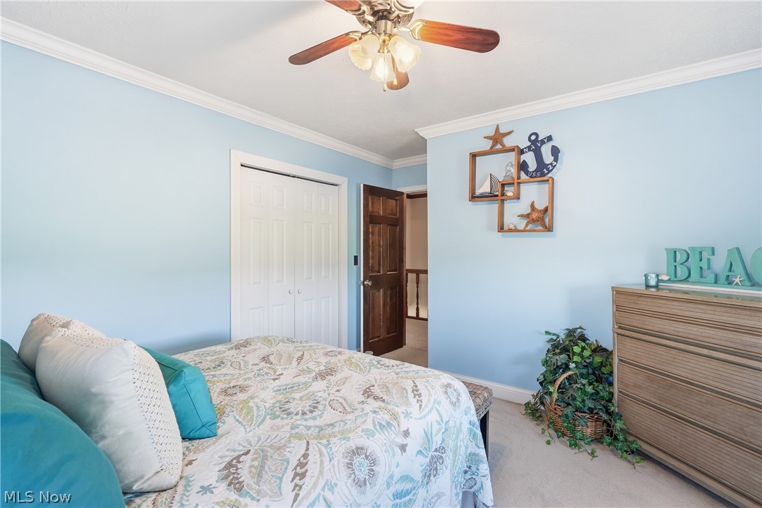 296 County Road 620 West Salem OH 44287