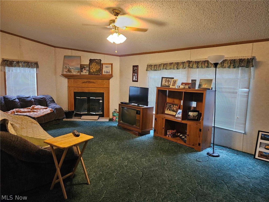 10039 State Route 700 Lot 118 Mantua OH 44255