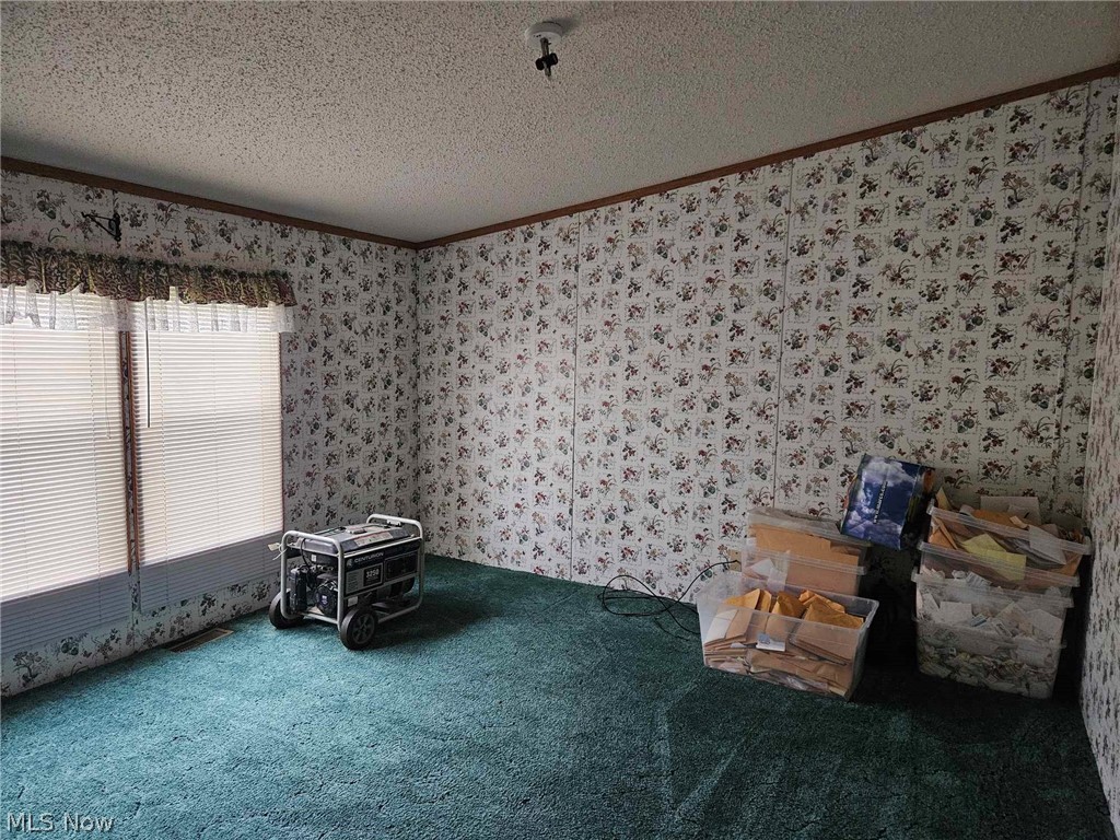 10039 State Route 700 Lot 118 Mantua OH 44255