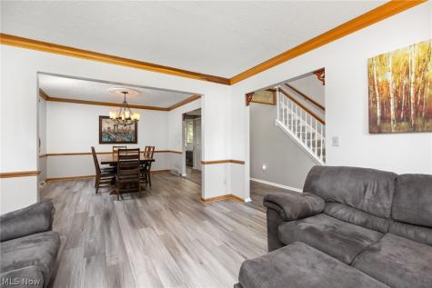 4187 Shenandoah Parkway Brunswick OH 44212