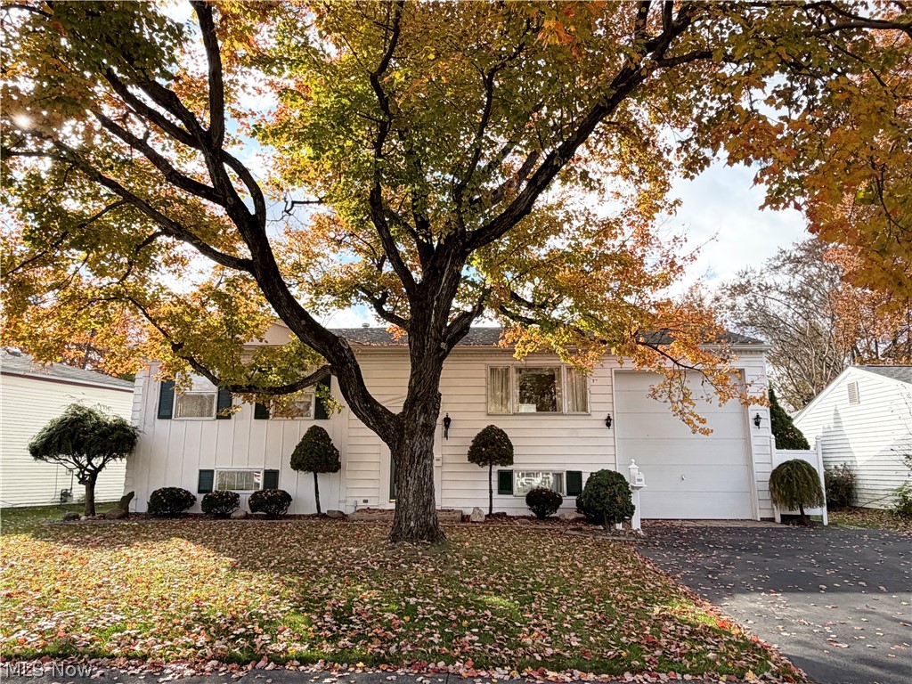 3061 Tod Avenue NW Warren OH 44485