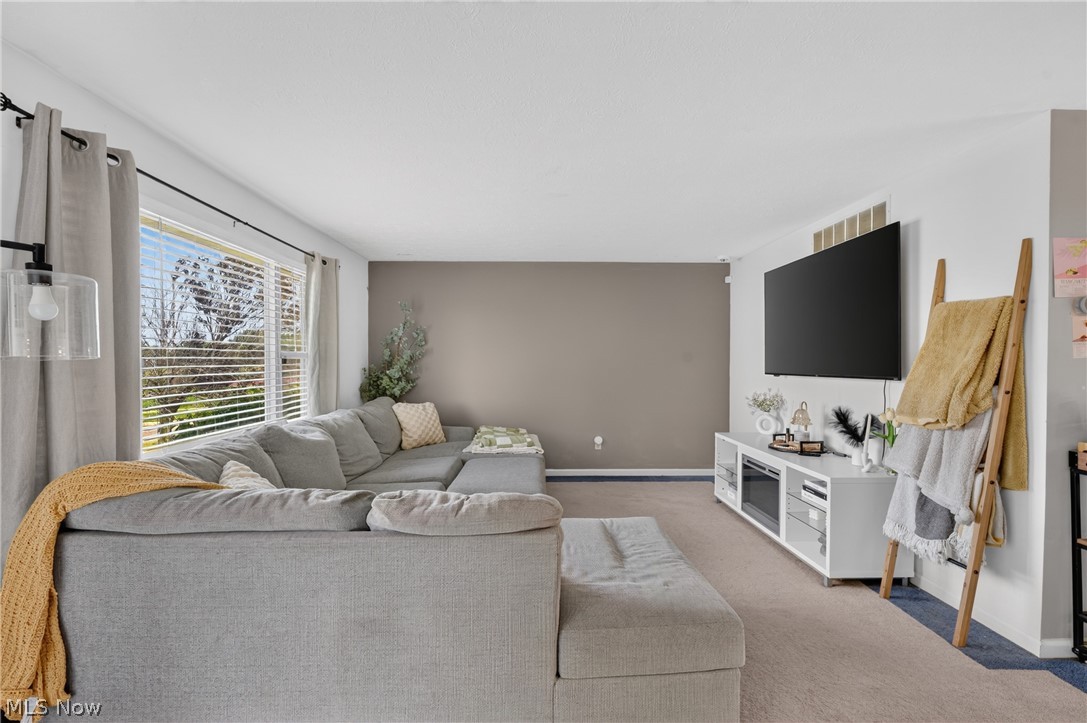 100 Cheyenne Drive Rittman OH 44270