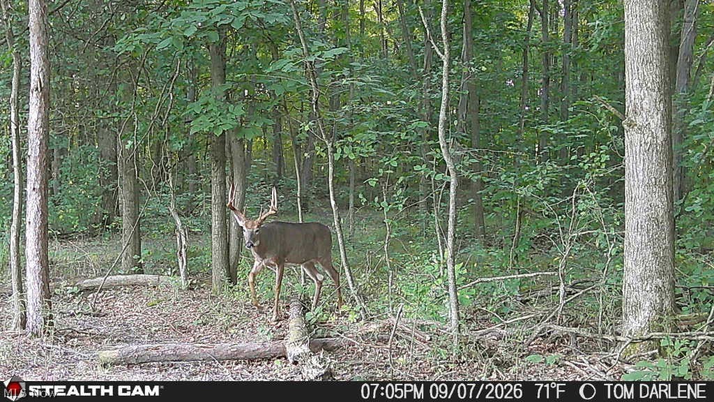 3628 & 3604 Painesville Warren Road Southington OH 44470