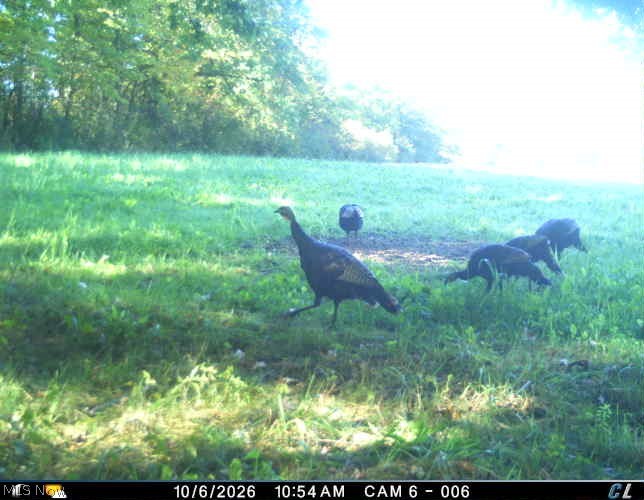 3628 & 3604 Painesville Warren Road Southington OH 44470