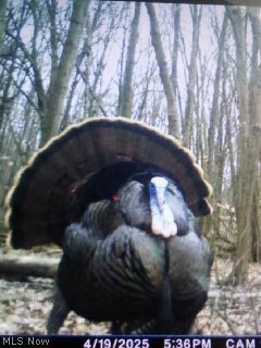 3628 & 3604 Painesville Warren Road Southington OH 44470