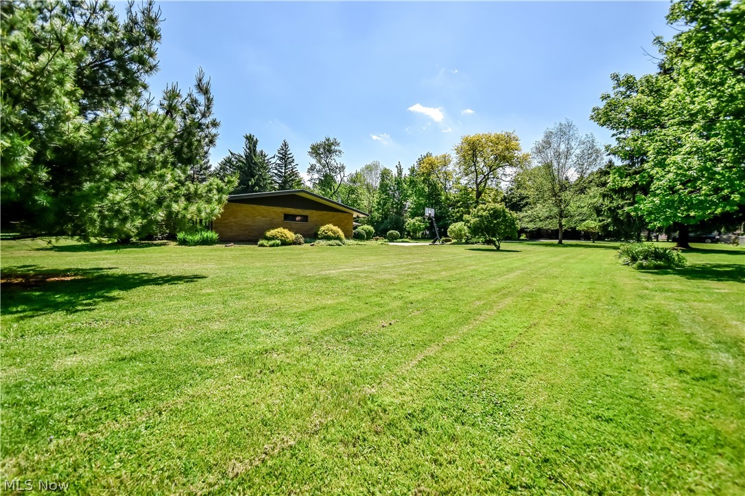 28833 Clark Drive Wickliffe OH 44092
