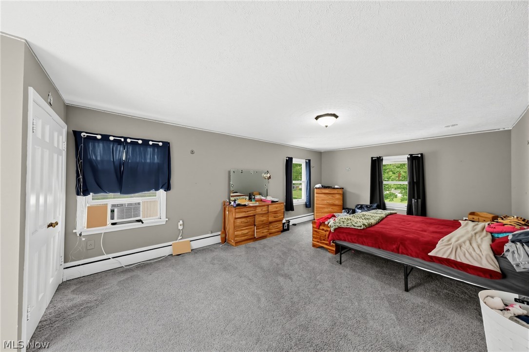 222 E Howard Street Willard OH 44890