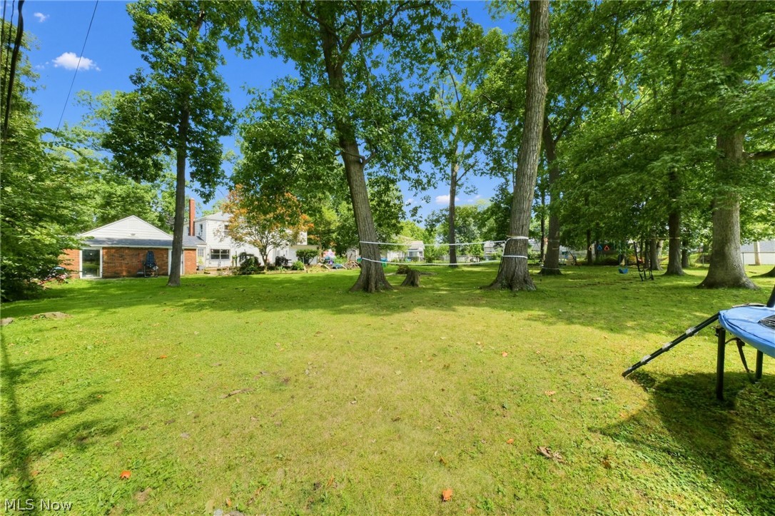 222 E Howard Street Willard OH 44890