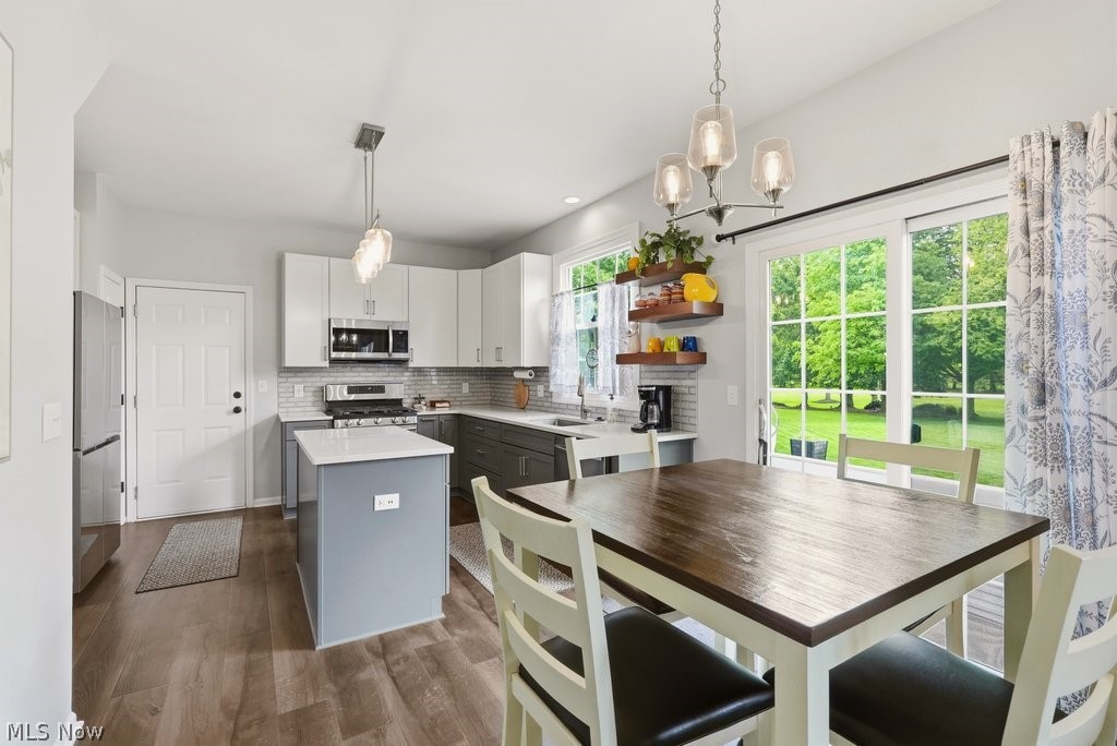 8431 Shorthorn Drive Sagamore Hills OH 44067