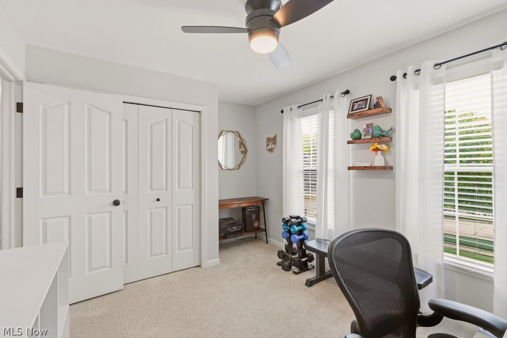 8431 Shorthorn Drive Sagamore Hills OH 44067