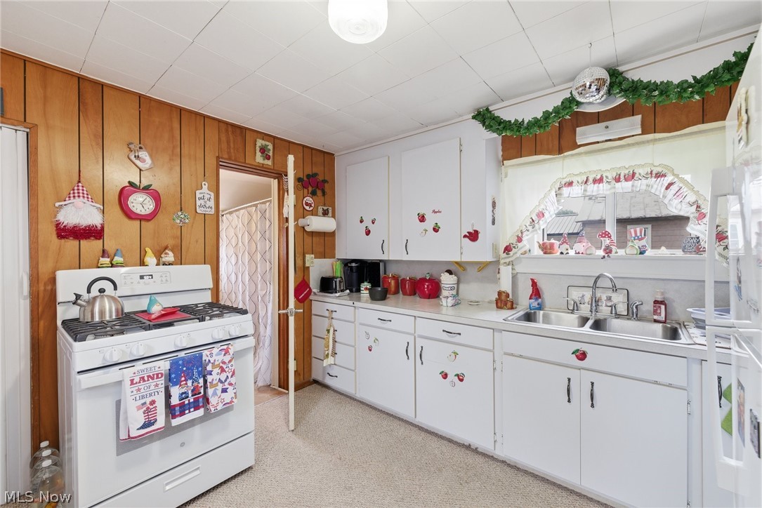 407 Phillips Avenue Ashland OH 44805