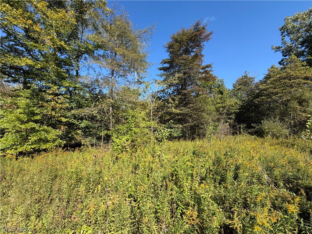 5540 State Route 170 East Palestine OH 44413