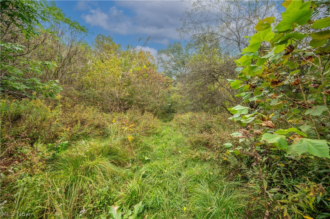 5540 State Route 170 East Palestine OH 44413
