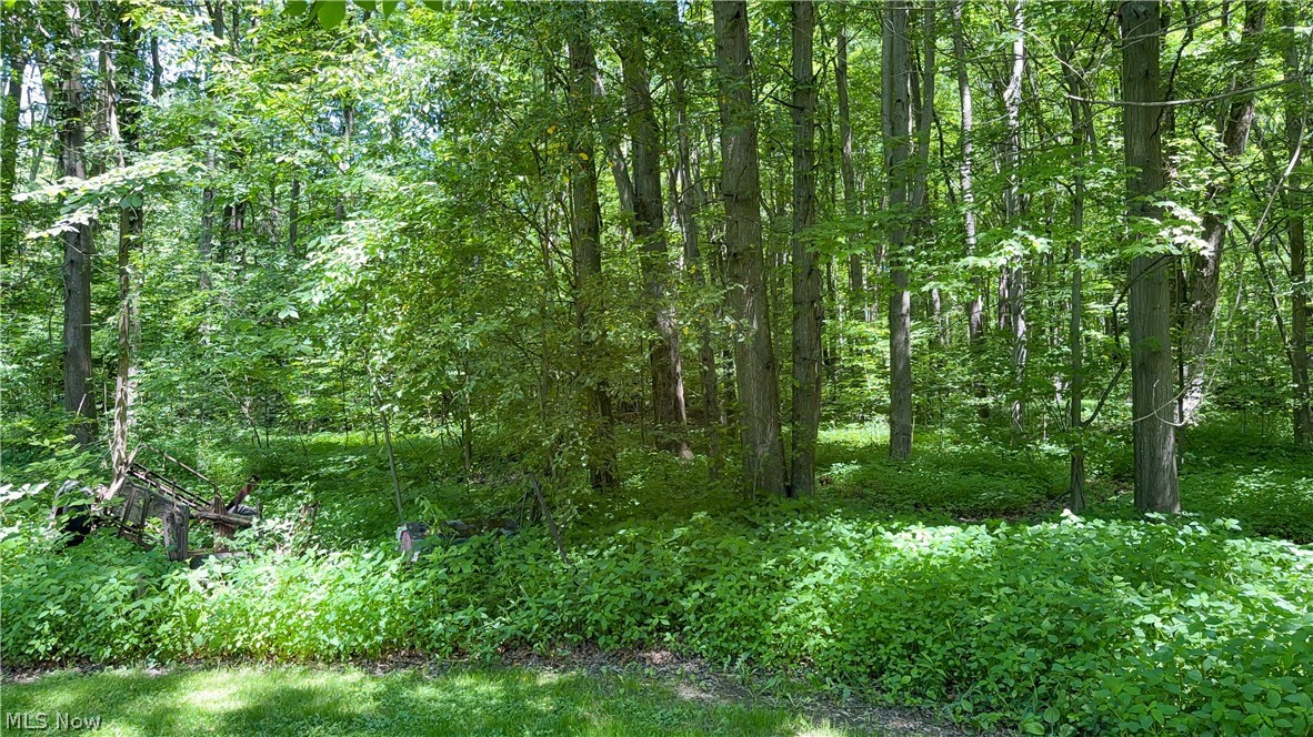 9621 Wolfe Road Windham OH 44288