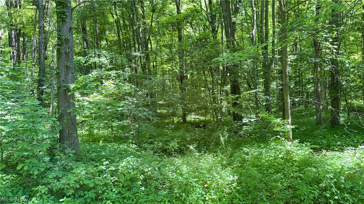 9621 Wolfe Road Windham OH 44288