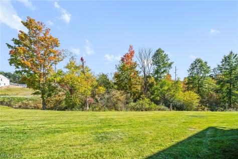 712 Cadmean Court Lodi OH 44254