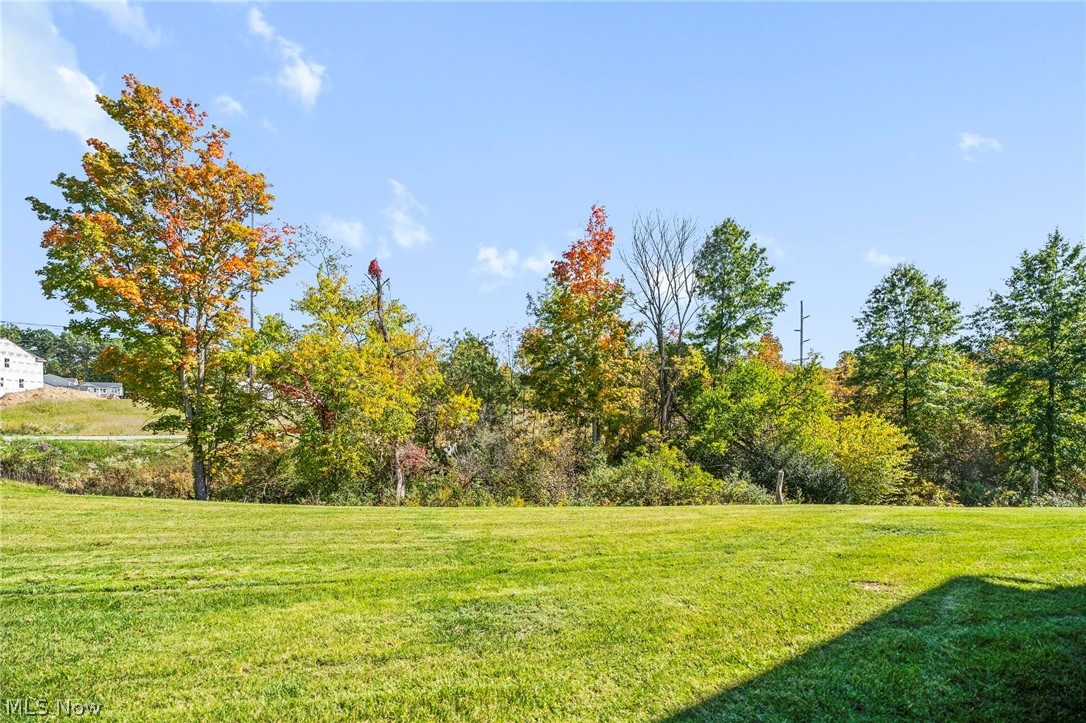 712 Cadmean Court Lodi OH 44254