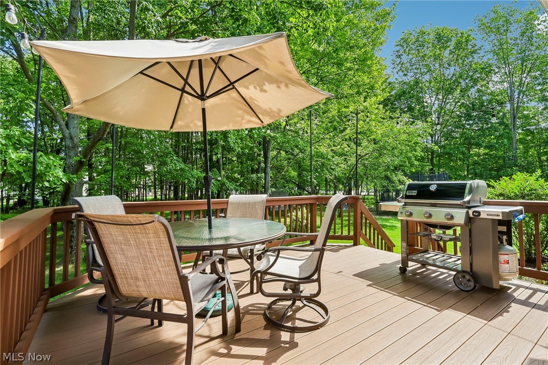 17459 Woodlawn Court Strongsville OH 44149