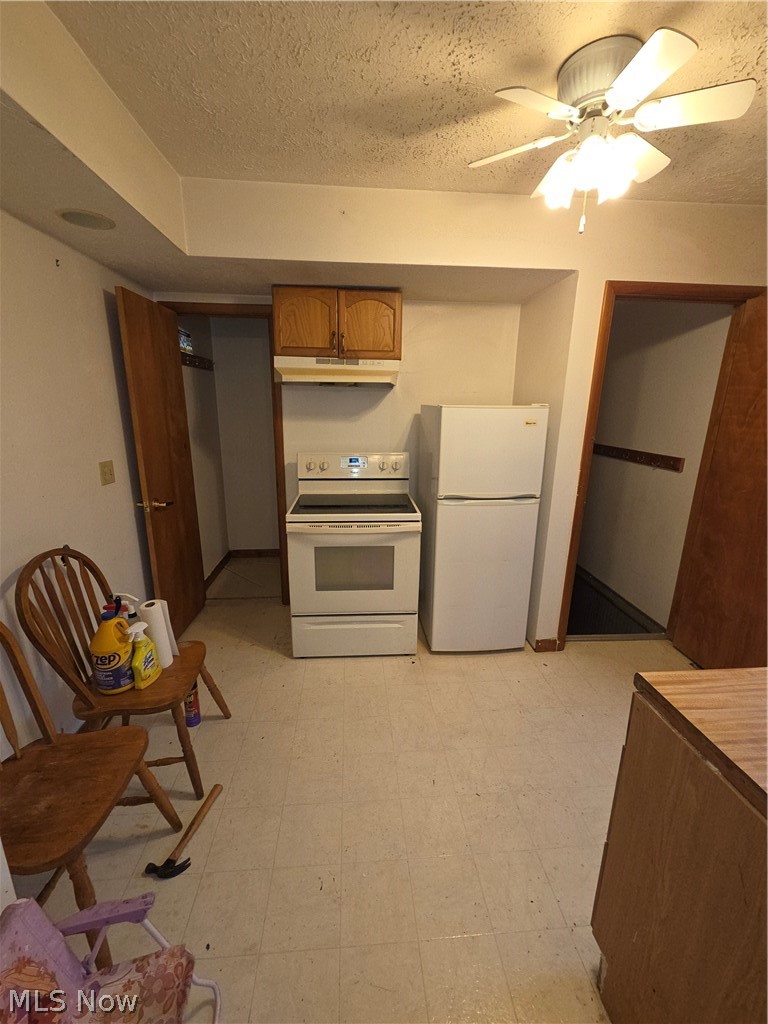 908 Cornell Street Youngstown OH 44502