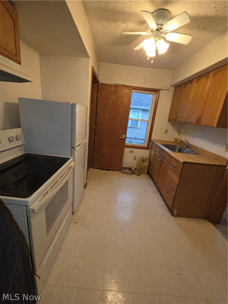 908 Cornell Street Youngstown OH 44502