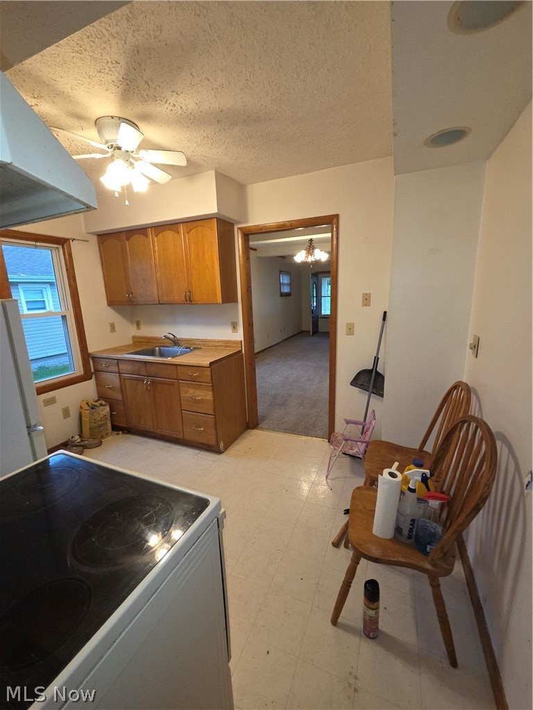 908 Cornell Street Youngstown OH 44502