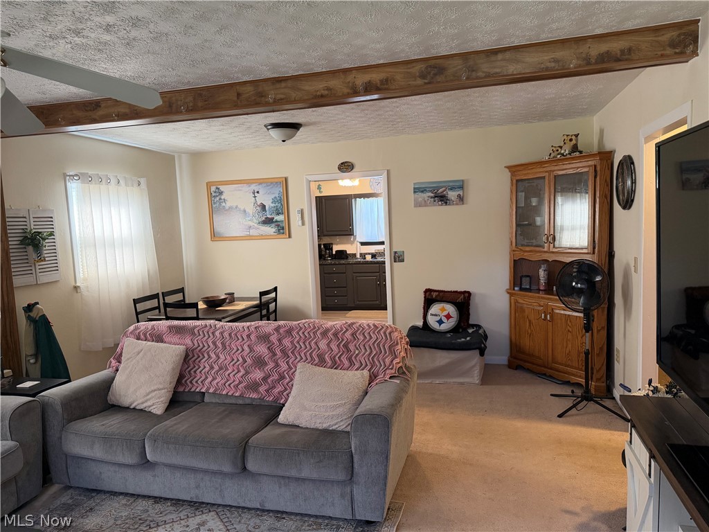 6056 Ivan Road Ashtabula OH 44004