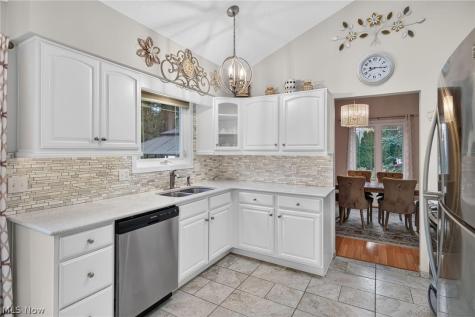 9083 Terrace Park Drive Mentor OH 44060