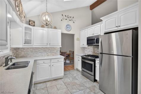 9083 Terrace Park Drive Mentor OH 44060