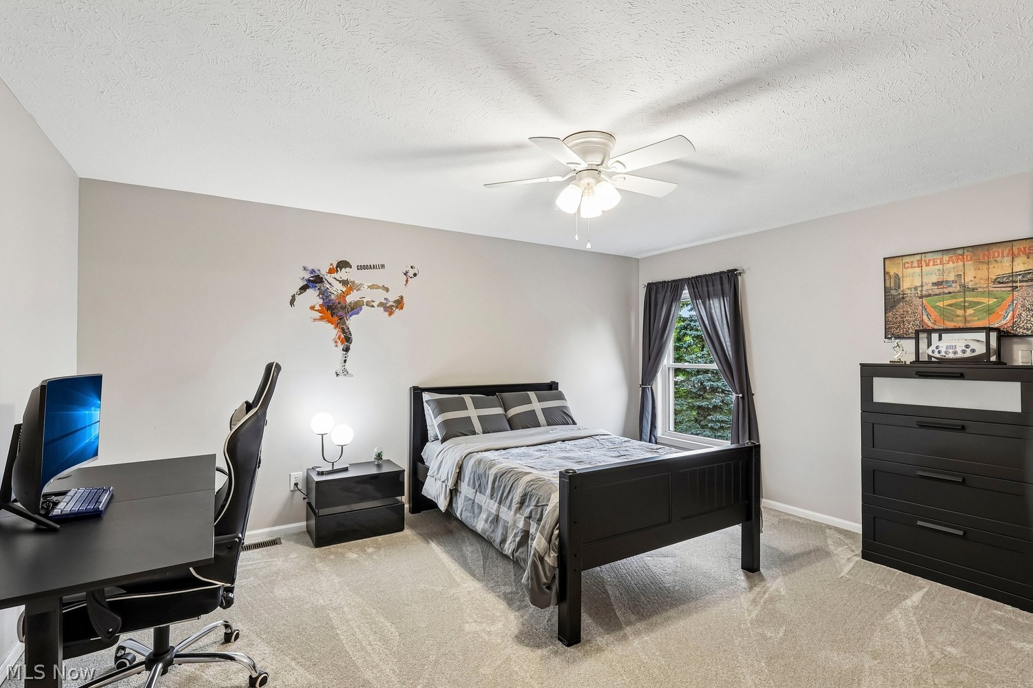 2092 Deer Crossing Streetsboro OH 44241