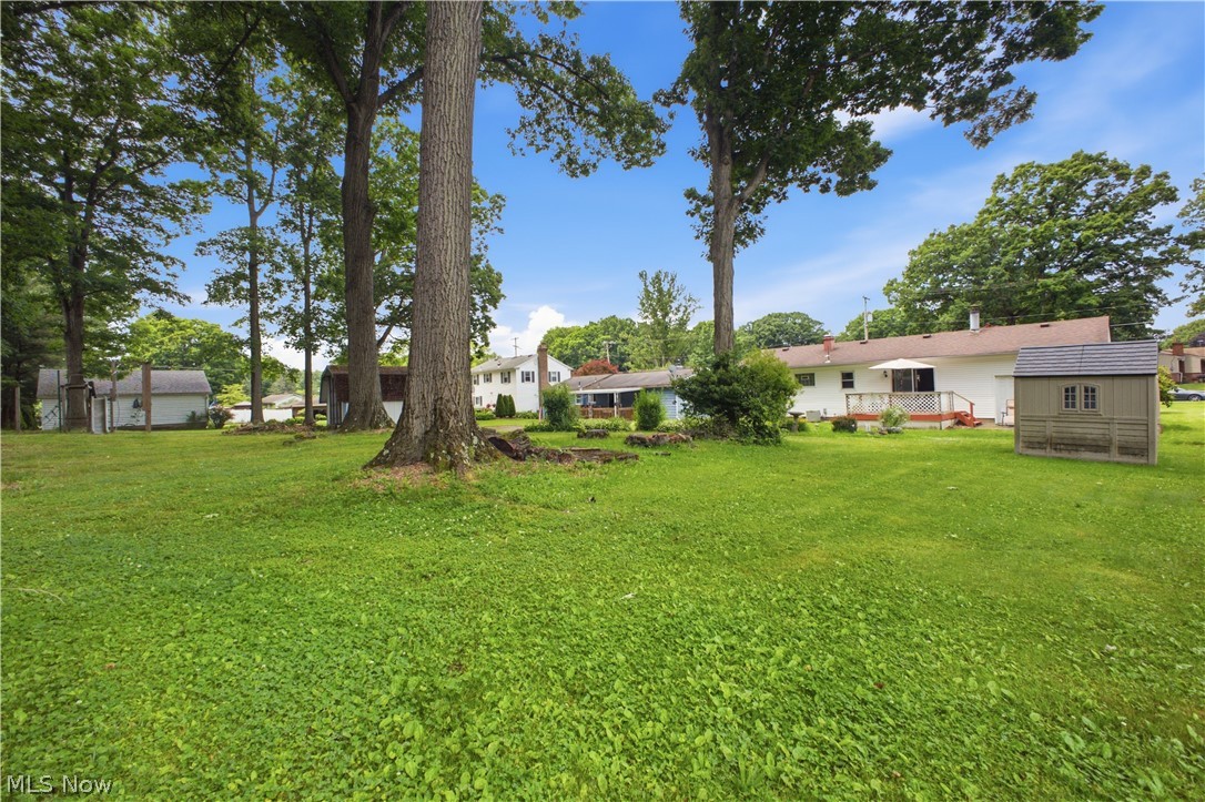 3730 Ayrshire Drive Austintown OH 44511