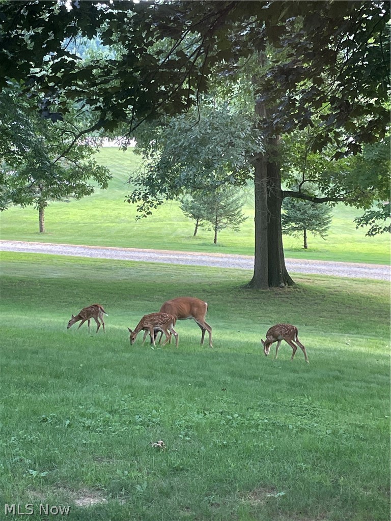 3359 Schneiders Crossing Road NW Dover OH 44622