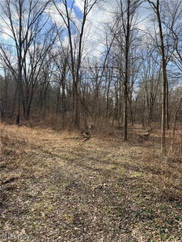 6223 Wayland Road Ravenna OH 44266