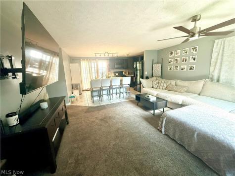 10519 Dewhurst Road Elyria OH 44035