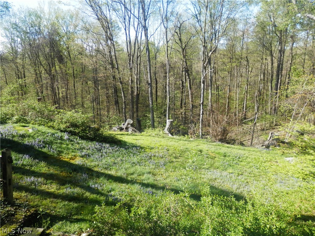 10200 Mayfield Road Chesterland OH 44026