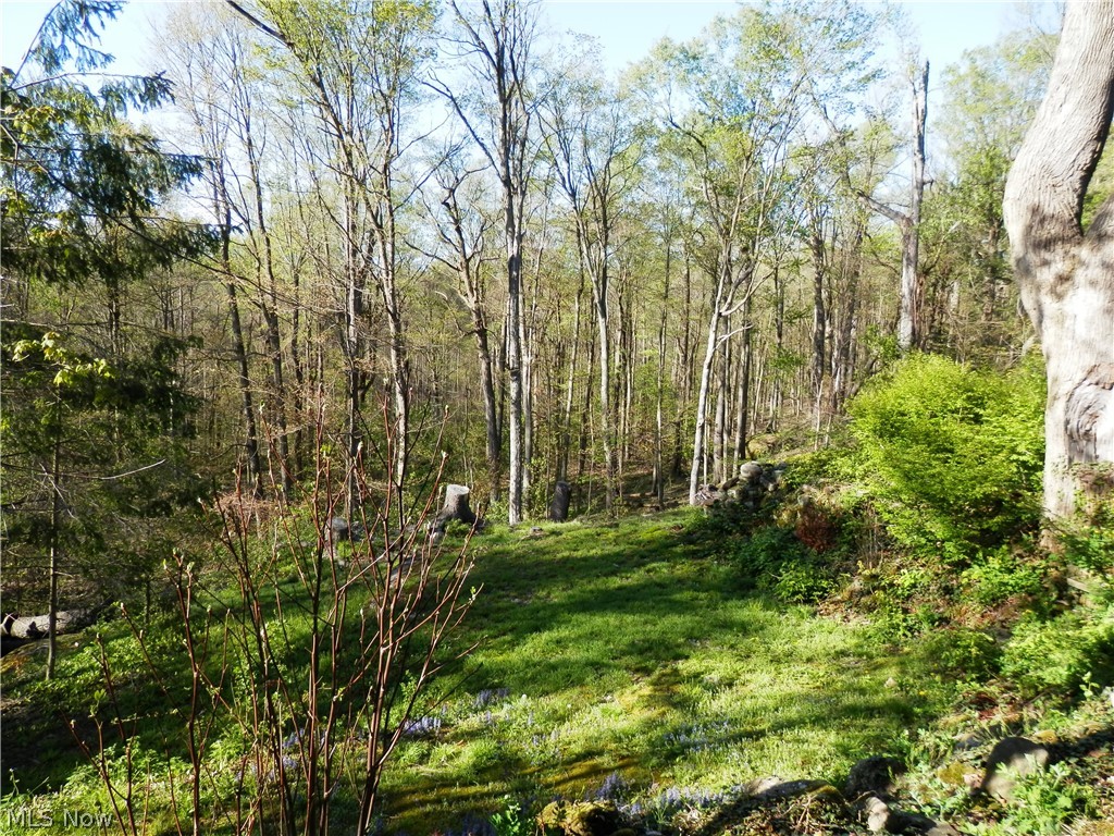 10200 Mayfield Road Chesterland OH 44026